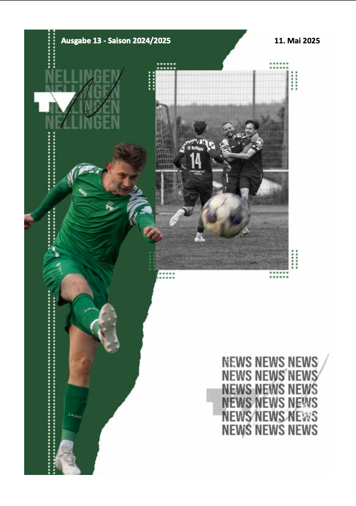 titelbild heft 13