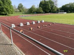Stadion Vor Veranstaltungsbeginn3