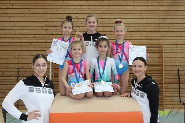 Gaufinale Geräteturnen Wernau 5. Februar 2023