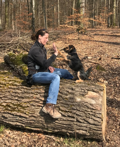 Herzlich willkommen Gismo&rsquo;s Reich